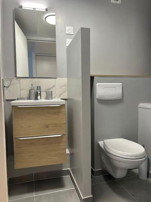 New Cosy House 15 Min Paris Roissy Cdg & 6 Min Parc Asterix I Villepinte Vemars Exterior photo
